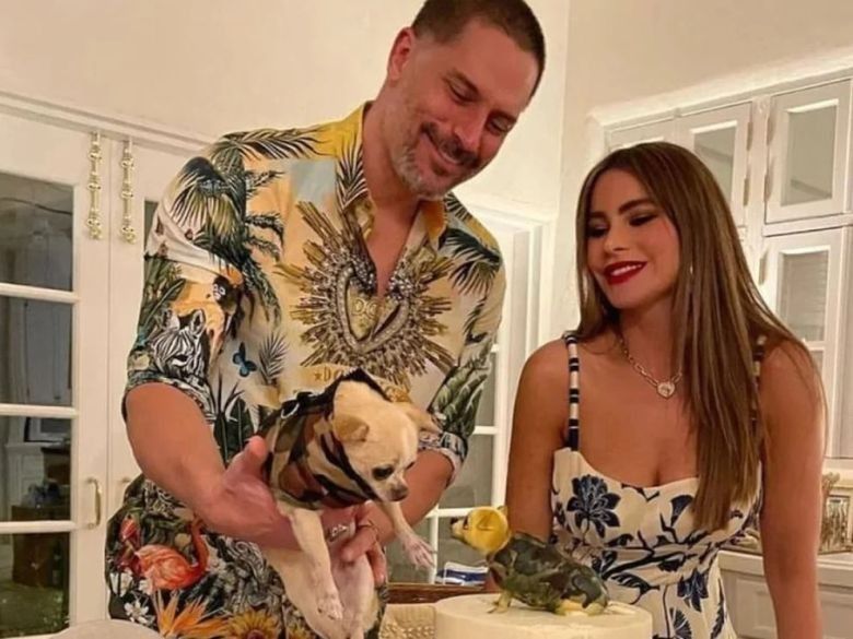 Sofía Vergara le dejará a Joe Manganiello su mascota ‘Bubbles’ tras el divorcio: “El perro me odia”