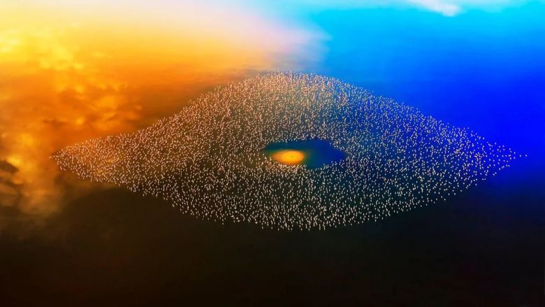 El ojo en el cielo