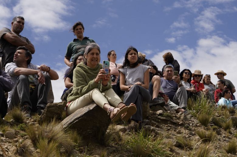 Los cóndores “Yñaca” y “Hiernen” fueron liberados en las Sierras de los Comechingones 