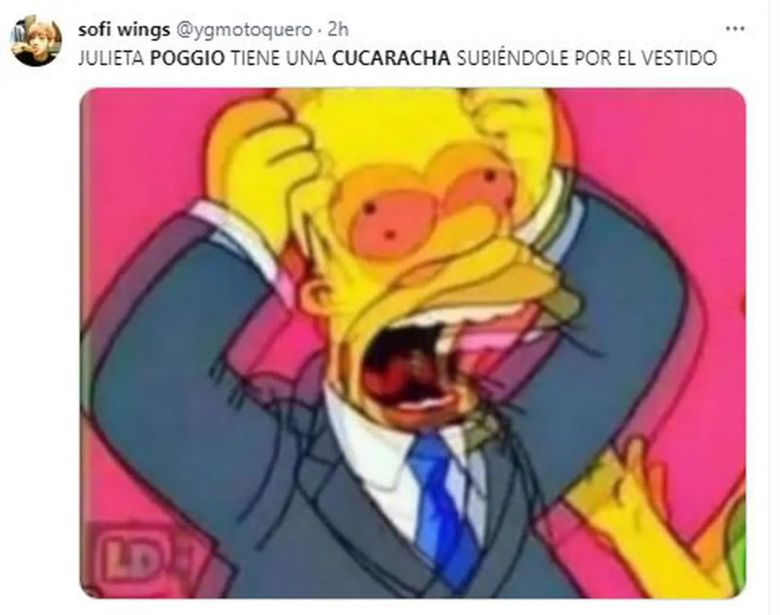 Los mejores memes de la cucaracha en el vestido de Julieta Poggio en Gran Hermano 2023 