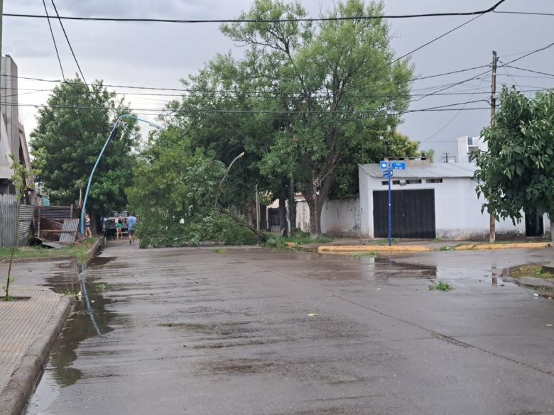 Temporal en Villa Mercedes: Continúa la asistencia a los vecinos afectados