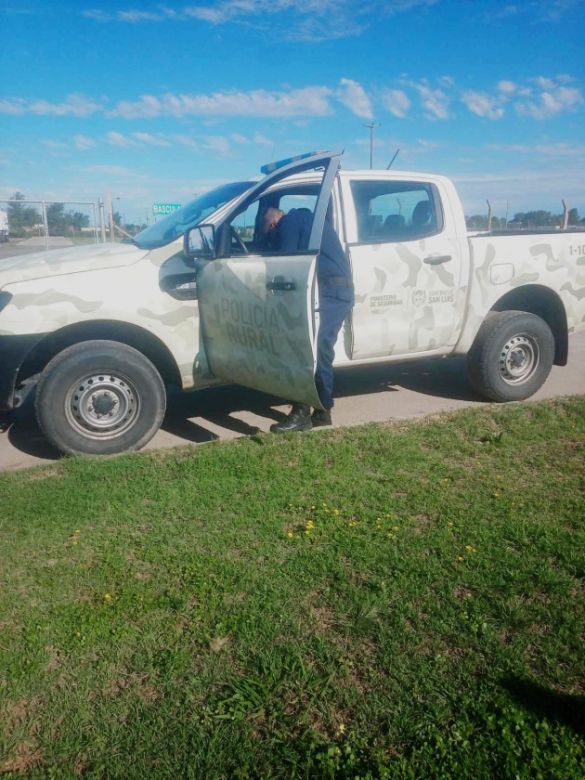 Abandonaron a 10 polluelos de ñandú en Villa Mercedes