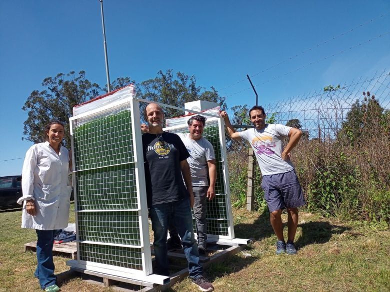 Un desarrollo argentino purifica el aire de entornos urbanos con microalgas nativas