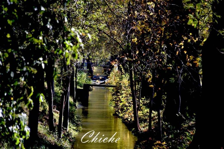 Canal y paseo de la Dársena