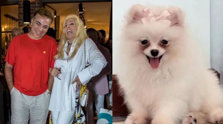 Cristian Castro le pidió a Susana Giménez que devuelva el perrito de 4000 dólares que le había regalado