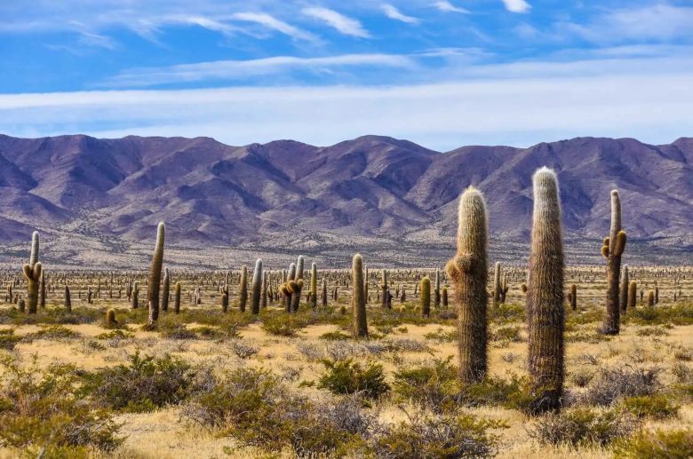 Paisajes argentinos