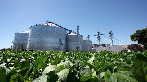 El jueves se sentarán en una mesa de diálogo los acopiadores, productores y el gobierno