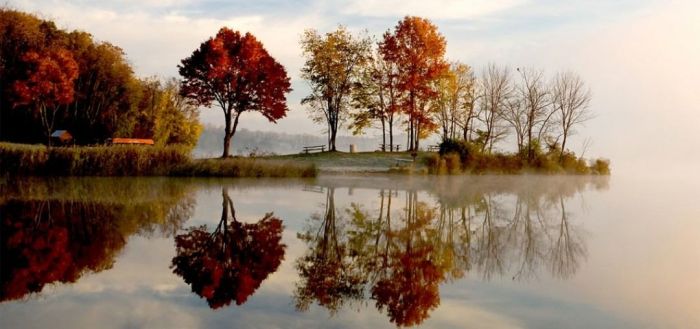 21 de Marzo- Comienzo del Otoño