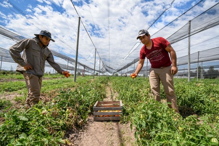 Desde este viernes, la Expo San Luis Intensiva promete reunir a cientos de productores