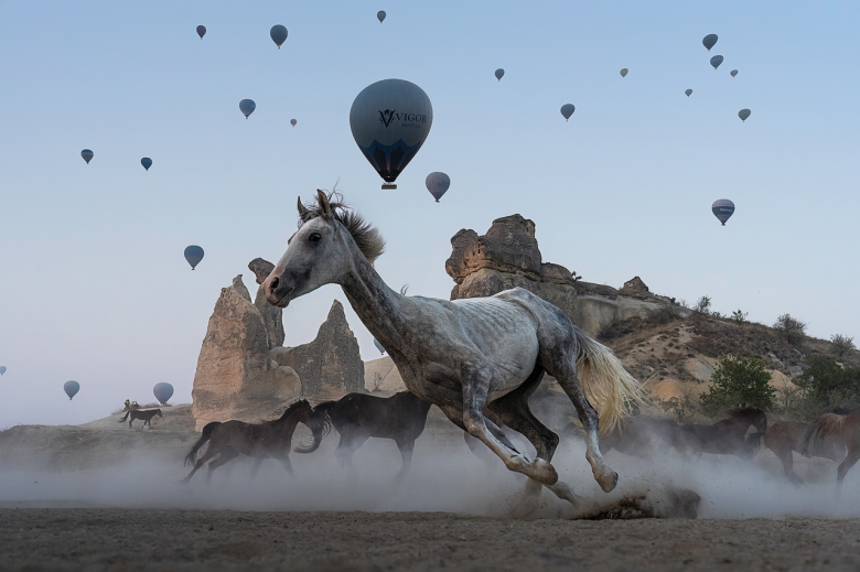 Giro del caballo blanco