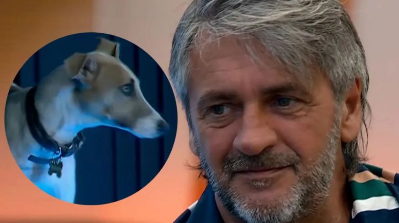 El perro Arturo atacó a Darío de Gran Hermano 2023: lo quiso morder y generó preocupación en la casa