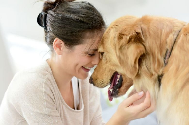 Día del Animal: ¿por qué se celebra hoy en la Argentina?