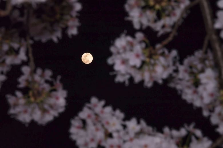 Luna de las flores