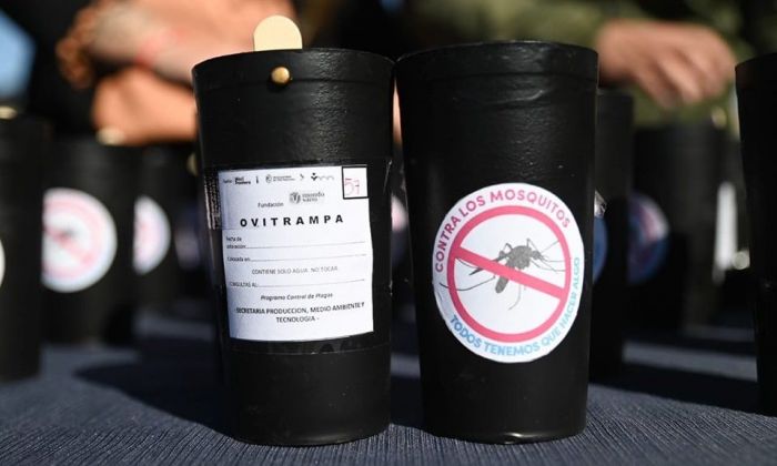 Villa Mercedes presentó su plan para combatir el dengue
