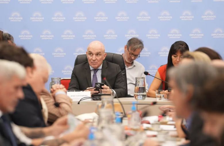 Diputados: hubo dictamen para privatizar Aerolíneas, pero el Gobierno deberá negociar los votos
