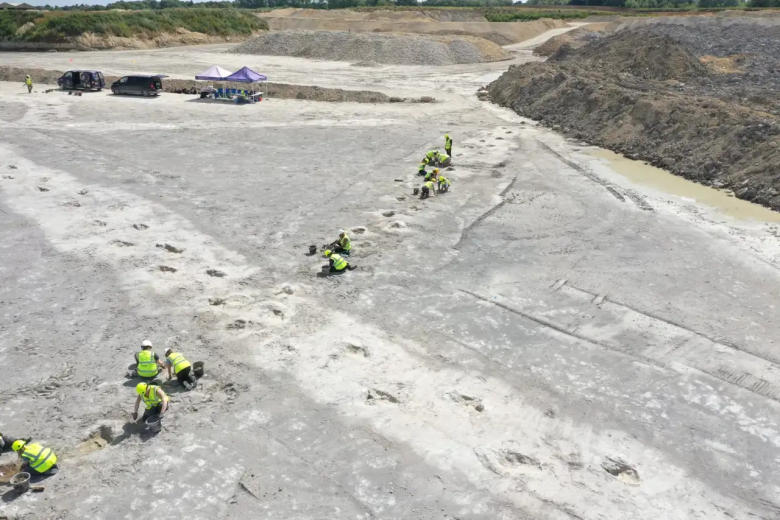 Se encuentra el mayor rastro de huellas de dinosaurios en Gran Bretaña