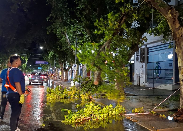 El Municipio trabaja sobre distintos puntos de la ciudad tras la grave tormenta