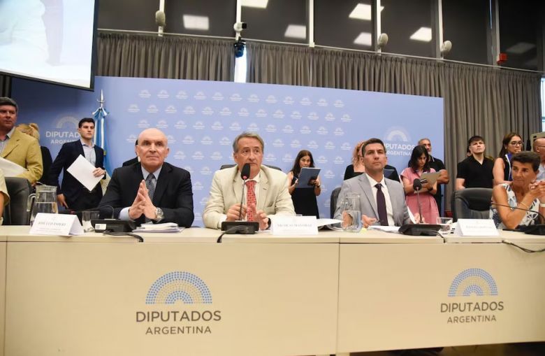 Diputados: el oficialismo busca el dictamen para suspender las Paso con ayuda de aliados