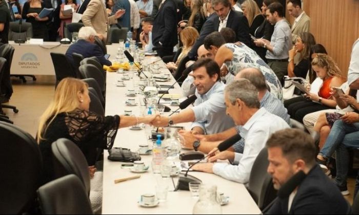 Suspensión de las PASO: el Gobierno ya piensa en los votos para el recinto y define la estrategia en el Senado