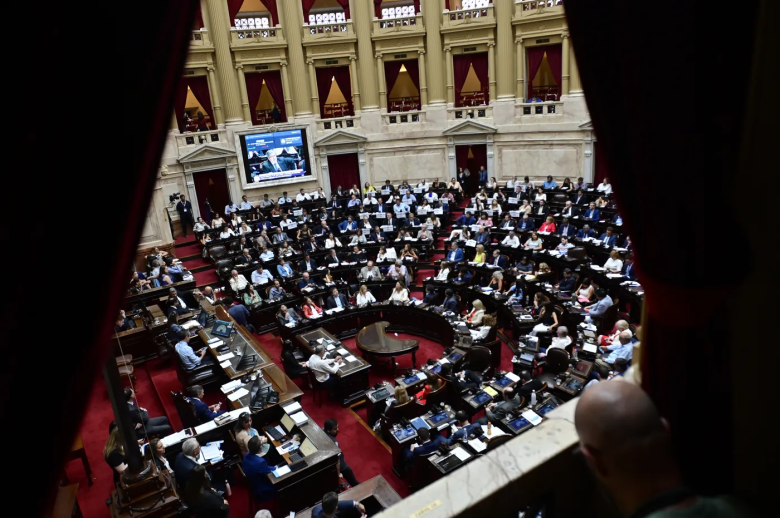 El proyecto de suspensión de las PASO logró media sanción y pasa al Senado