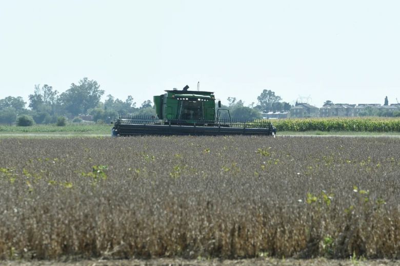 La economía argentina acumula once meses consecutivos de crecimiento