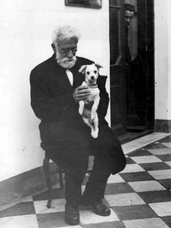 Día del Animal: ¿por qué se celebra cada 29 de abril?