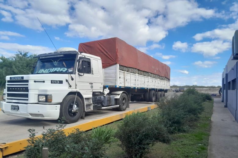 La Metropolitana reinsertó más de 21.000 kilos de material reciclable a la economía circular 