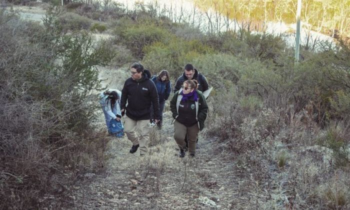 Realizaron un mapeo de plantas exóticas en La Florida