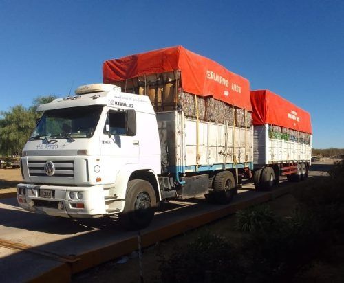 La planta de reciclaje de Donovan recuperó 40 mil kilos de vidrio, cartón y plástico
