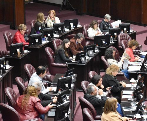 Dieron media sanción al proyecto de ley para prorrogar la emergencia económica
