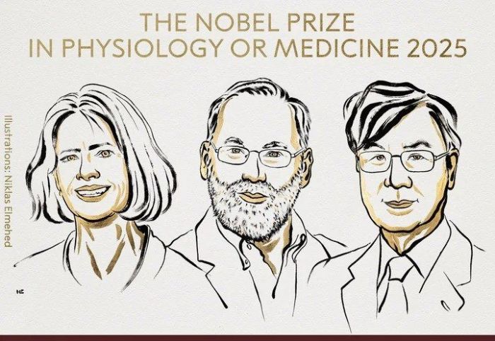El premio Nobel de Medicina 2025 fue otorgado a Mary E. Brunkow, Fred Ramsdell y Shimon Sakaguchi