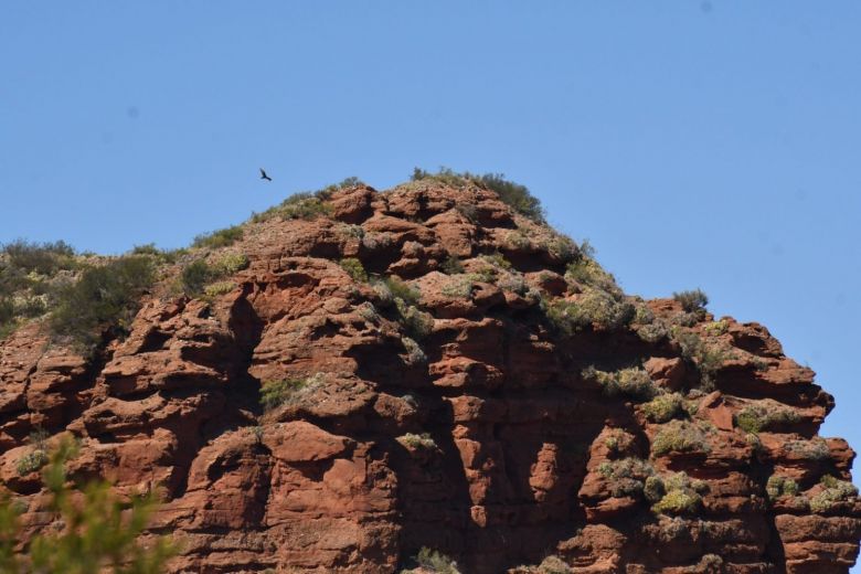 Parque Nacional Sierra de las Quijadas: 34 a&ntilde;os preservando y contando la historia
