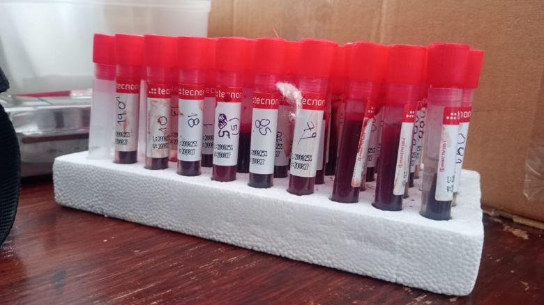 En verano, sigue el acompa&ntilde;amiento sanitario a productores caprinos de La Punilla