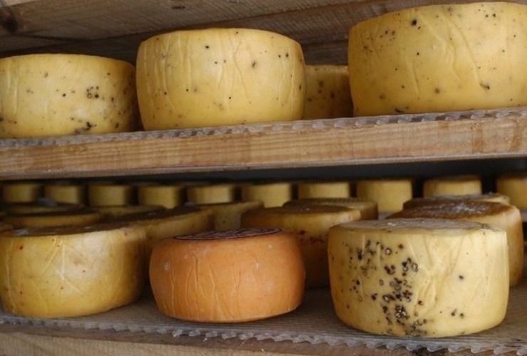 50 Festivales Villa de la Quebrada celebra su cultura y tradiciones con el Festival del Queso y Quesillo Puntano