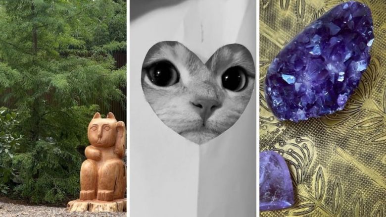 La colecci&oacute;n de platos de porcelana que Natalia Oreiro guarda en un rinc&oacute;n especial de su casa