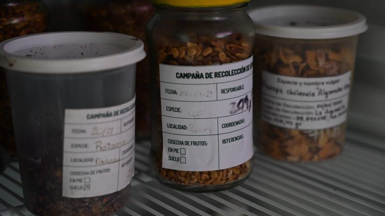 Convocan a estudiantes a participar en las capacitaciones del Vivero Ecoparque &lsquo;Cruz de Piedra&rsquo;